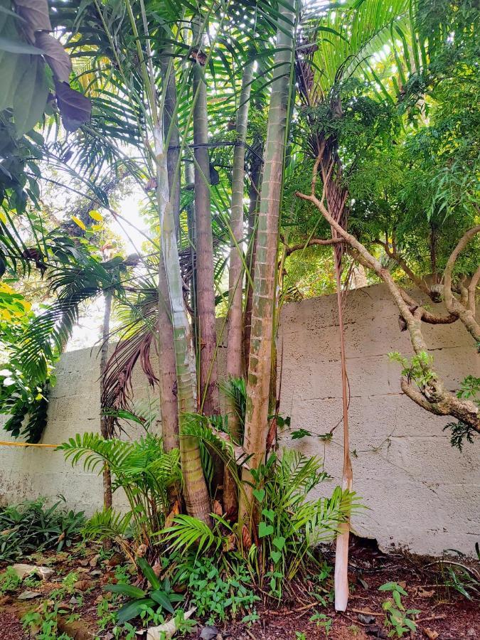 Gogonuts Hostel Varkala Buitenkant foto